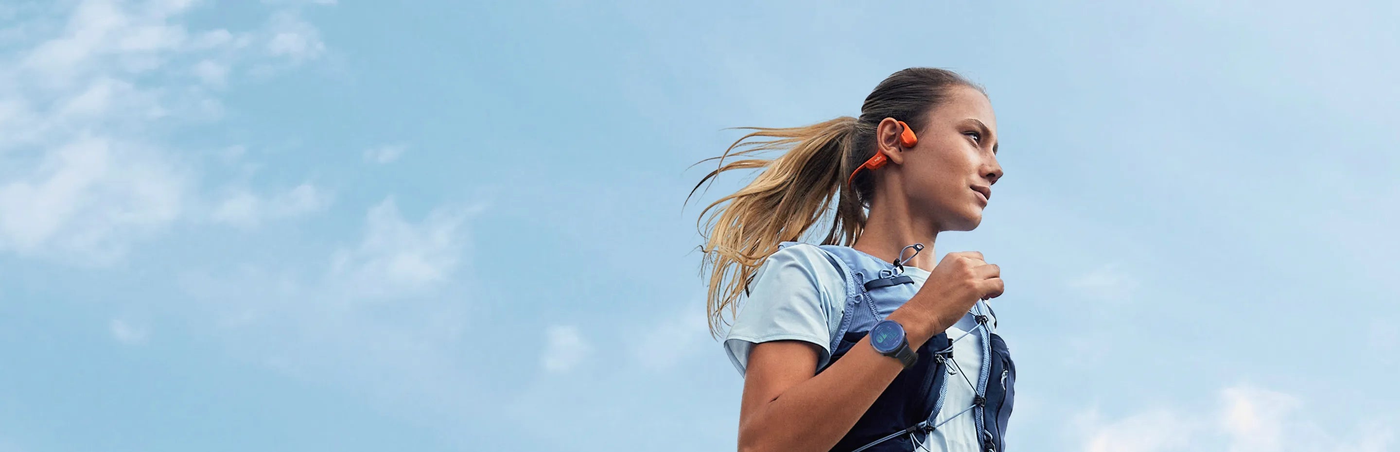 garmin reward banner pc